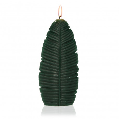 CANDLE LARGE LEAF