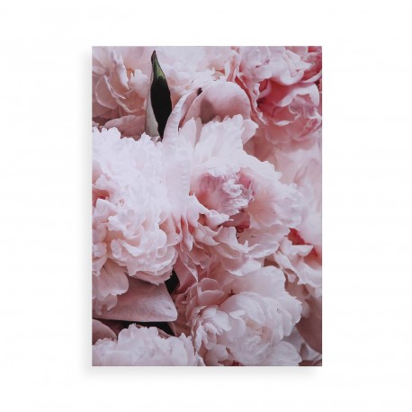 FLOWERS PICTURE
