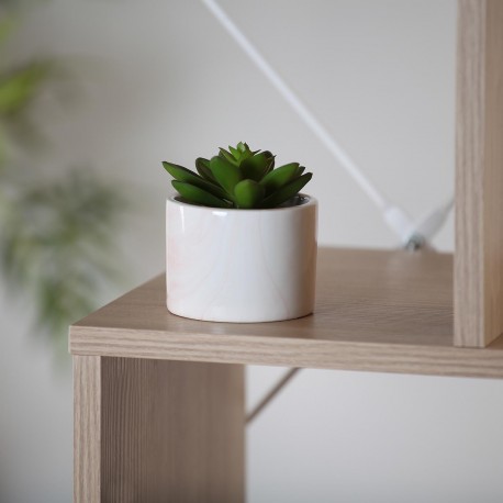 CERAMIC PLANTER