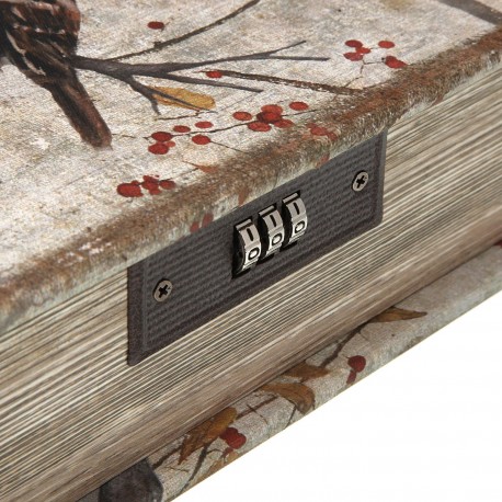 BOOK SAFE WITH CODE BIRD