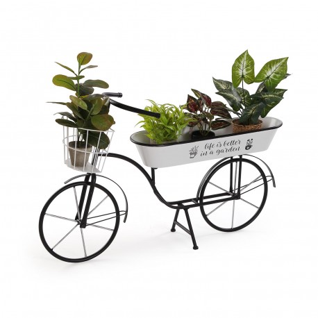 LIFE IN A GARDEN PLANTER