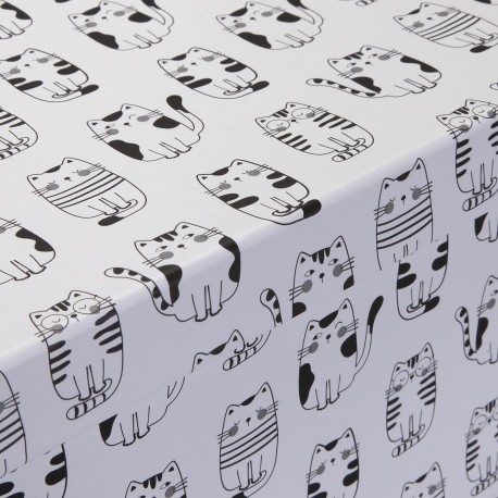 SET OF 15 "GATTO" CARDBOARD BOXES