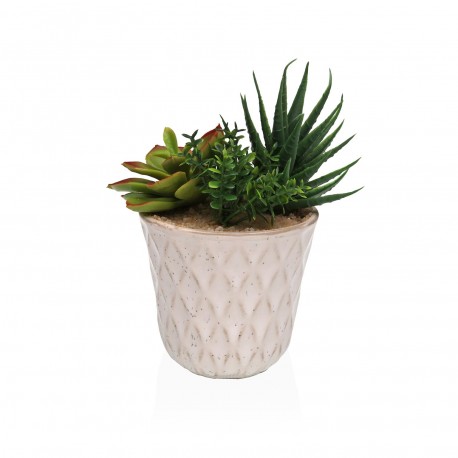 CERAMIC POT WITH SUCCULENT 1