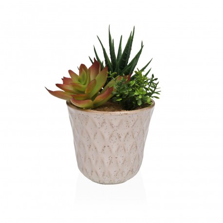 CERAMIC POT WITH SUCCULENT 2