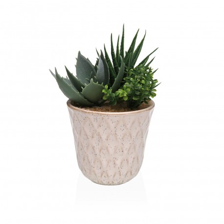 CERAMIC POT WITH SUCCULENT 3
