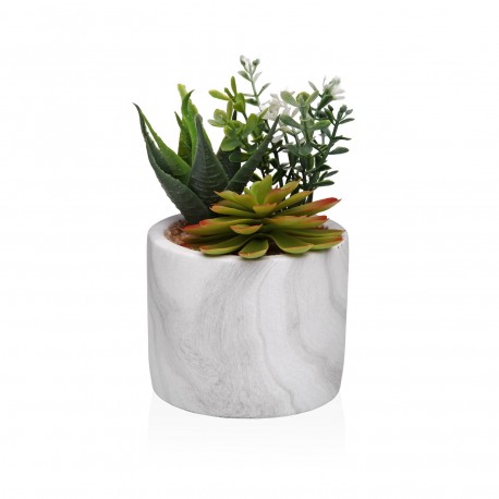 MARBLE-EFFECT POT WITH SUCCULENT 1