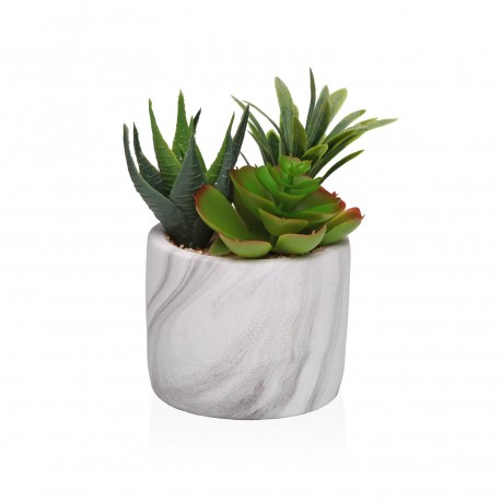 MARBLE-EFFECT POT WITH SUCCULENT 2