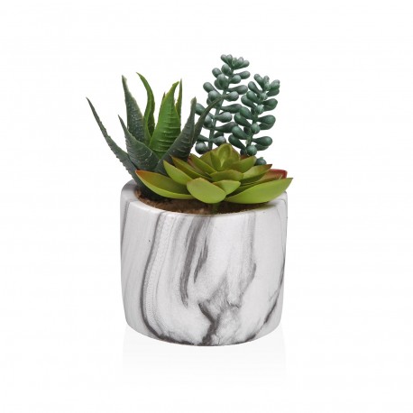 MARBLE-EFFECT POT WITH SUCCULENT 3