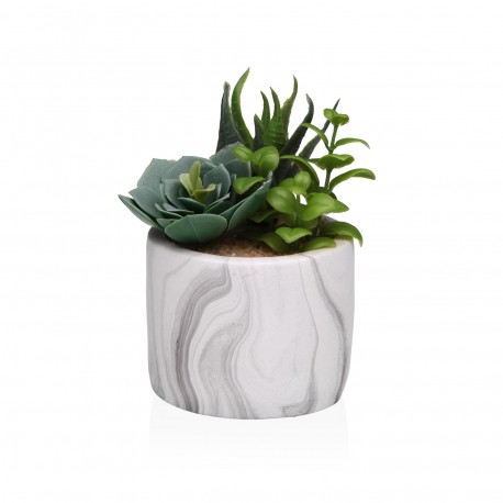 MARBLE-EFFECT POT WITH SUCCULENT 4