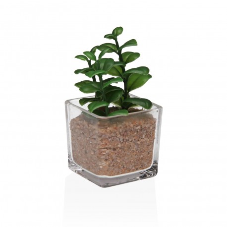 GLASS POT WITH SUCCULENT 2