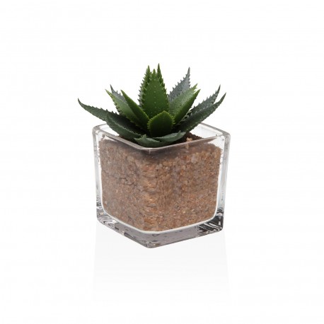 GLASS POT WITH SUCCULENT 3