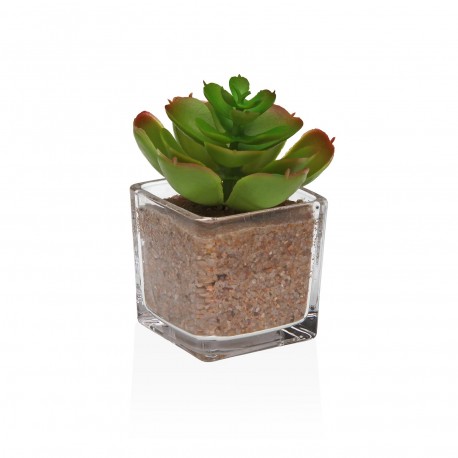 GLASS POT WITH SUCCULENT 4