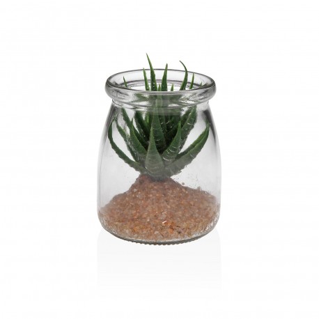GLASS JAR WITH SUCCULENT 1