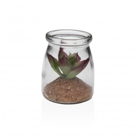 GLASS JAR WITH SUCCULENT 3