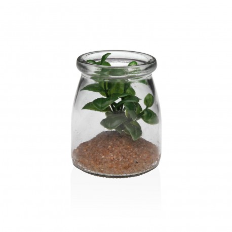 GLASS JAR WITH SUCCULENT 4