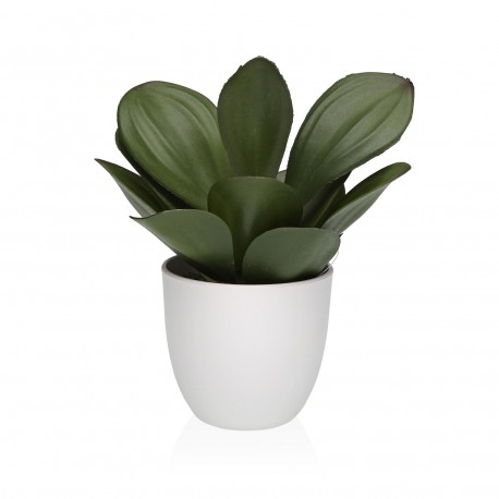 DECORATIVE POT WITH PLANT 23CM