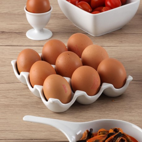 EGG HOLDER