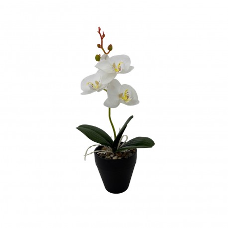 ORCHID FLOWER SET OF 3 WITH POT