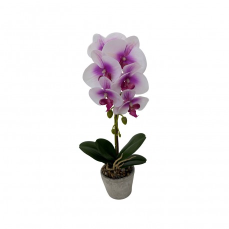 ORCHID FLOWER SET OF 3 WITH POT