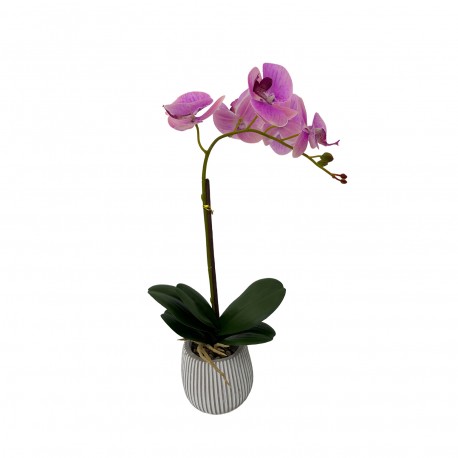ORCHID FLOWER SET OF 3 WITH POT