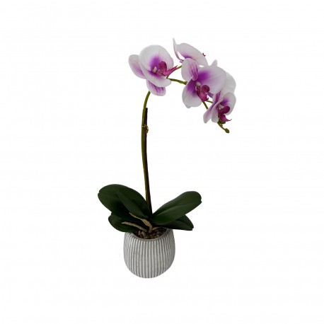 ORCHID FLOWER SET OF 3 WITH POT