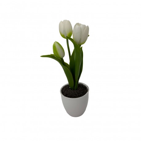 TULIP FLOWER SET OF 3 WITH POT