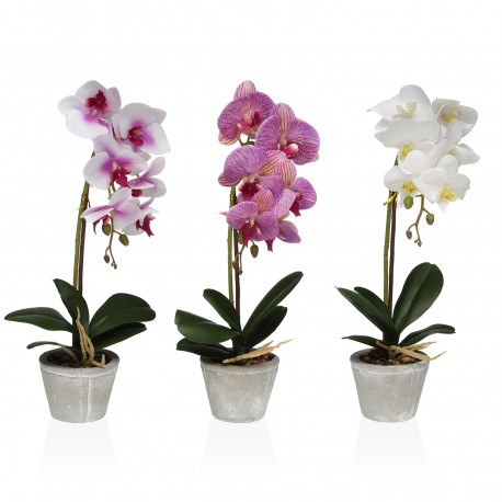 ORCHID FLOWER SET OF 3 WITH POT