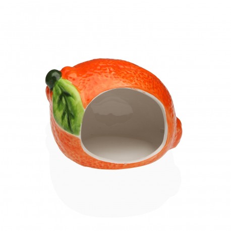 ORANGE SPONGE HOLDER