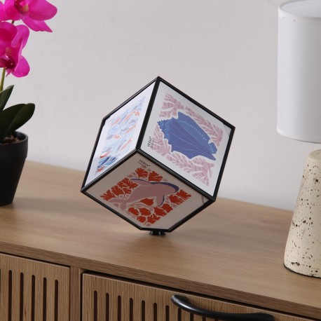 JUNO BLACK PHOTO CUBE 10 X 10