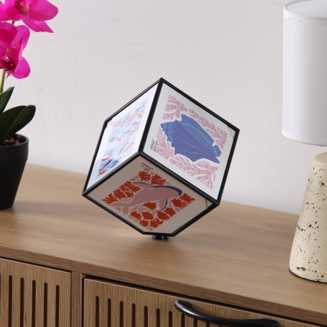 JUNO BLACK PHOTO CUBE 10 X 10