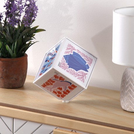 JUNO WHITE PHOTO CUBE 10 X 10