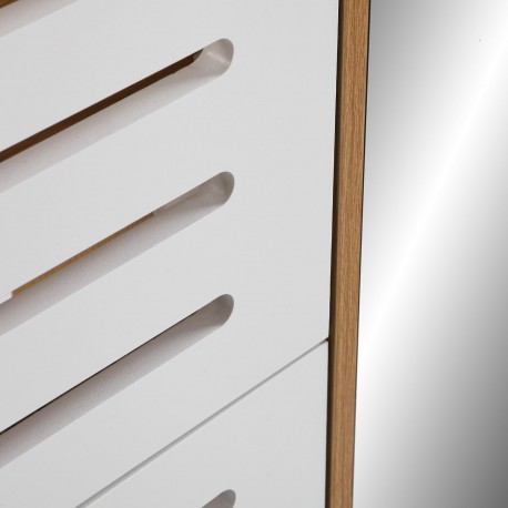 SHOE CABINET 3 DOORS WITH MIRROR CABINET