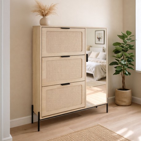 SHOE CABINET 3 DOORS WITH MIRROR CABINET