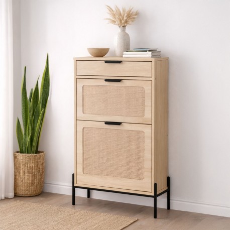 SHOE CABINET 2 DOORS WITH DRAWER